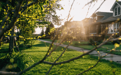 4 Ways To Give Your Offer an Edge This Spring